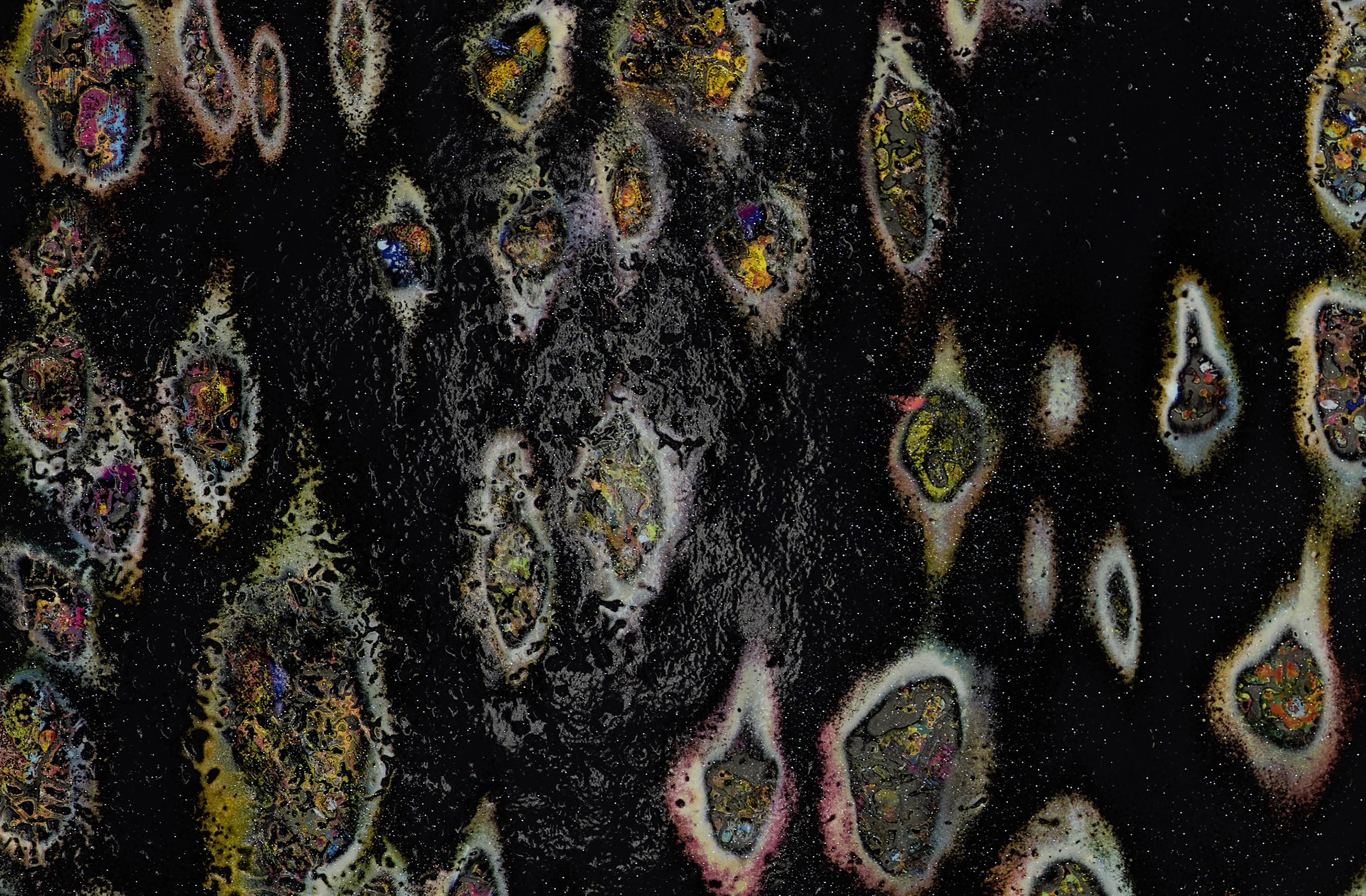 After The Function II >> Detail